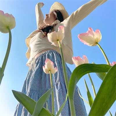 鸟类人间